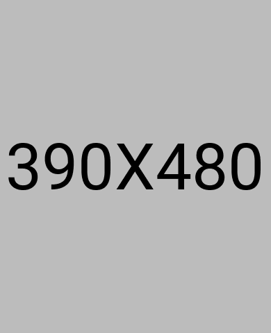 image not found